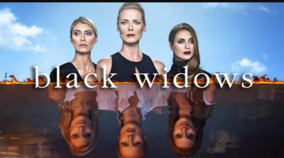 Juodosios našlės (2 Sezonas) / Black Widows (Season 2) (2017) online