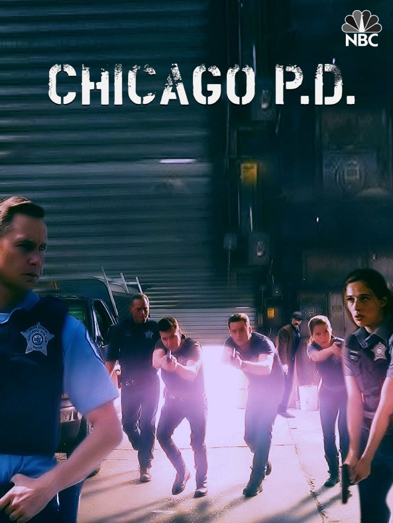 Čikagos policija (3 Sezonas) / Chicago P.D. (Season 3) (2016) online