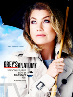 Grey anatomija (12 Sezonas) / Grey's Anatomy (Season 12) (2016) online