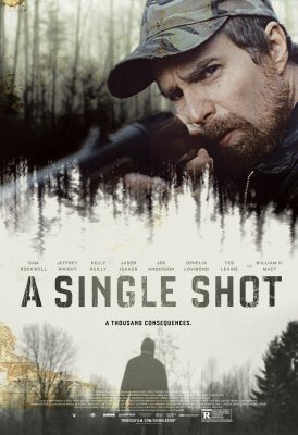 Vienintelis šūvis / A Single Shot (2013)
