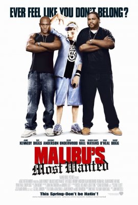 Labiausiai ieškomas Malibu nusikaltėlis / Malibu’s Most Wanted (2003)