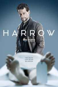 Gydytojas Harou 1 sezonas / Harrow season 1 online