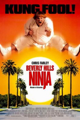 Beverli Hilso nindzė / Beverly Hills Ninja (1997)
