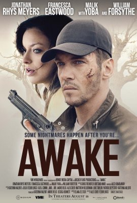 Pabudęs / Awake 2019